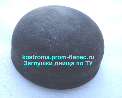 Заглушки днища по ТУ Кострома